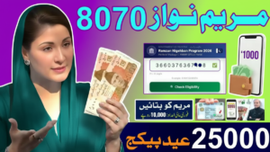 8070 Ramzan Relief Package 2026 Punjab – Registration, PSER Check & Rs 10,000 Guide