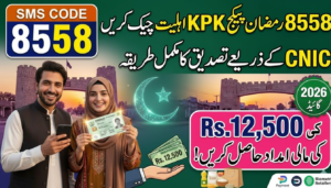 8558 Ramzan Package Check KPK – How to Verify Eligibility Using CNIC (2026 Guide)